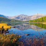Into the Wild: Adventures in the Heart of Nature